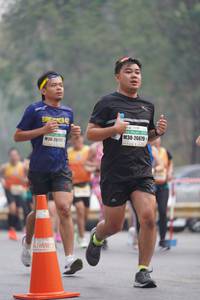 BIB: 26679, 2617
                            <button type="button" onclick="openModal(8311445)" class="btn btn-primary btn-sm float-right btn-popup" data-toggle="modal" data-target=".modal-high-quality">
                        <i class="fas fa-shopping-cart"></i> Add to Cart
                    </button>
                                            <button type="button" onclick="isThisMe(8311445, true)" class="btn btn-success btn-sm float-right btn-popup btn-isme hidden" data-toggle="tooltip" data-placement="bottom" title="นี่คือรูปของคุณใช่ไหม คลิกที่นี่เพื่อเอาเข้าอัลบั้ม">
                        <i class="fas fa-plus"></i> Add to album
                    </button>
                    <button type="button" onclick="isThisMe(8311445, false)" class="btn btn-warning btn-sm float-right btn-popup btn-isnotme hidden">
                        <i class="fas fa-ban"></i> Remove from album
                    </button>